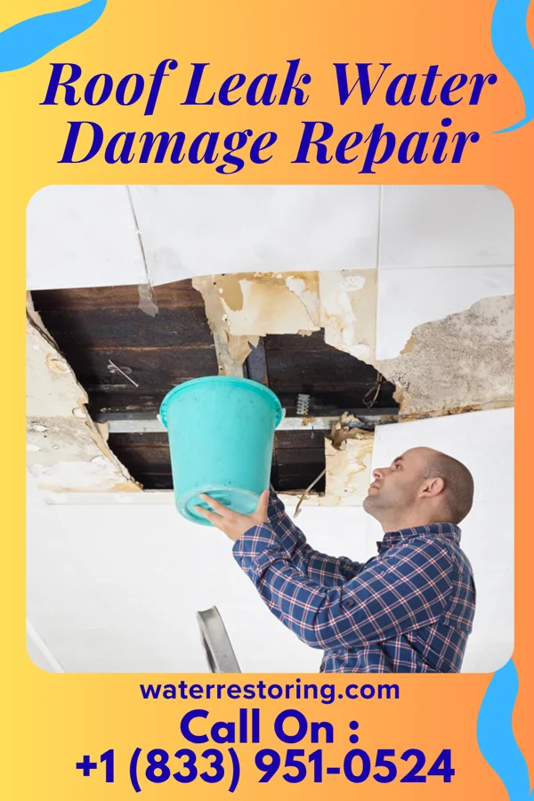 Roof Leak Water Damage Repair in Cloudcroft, NM